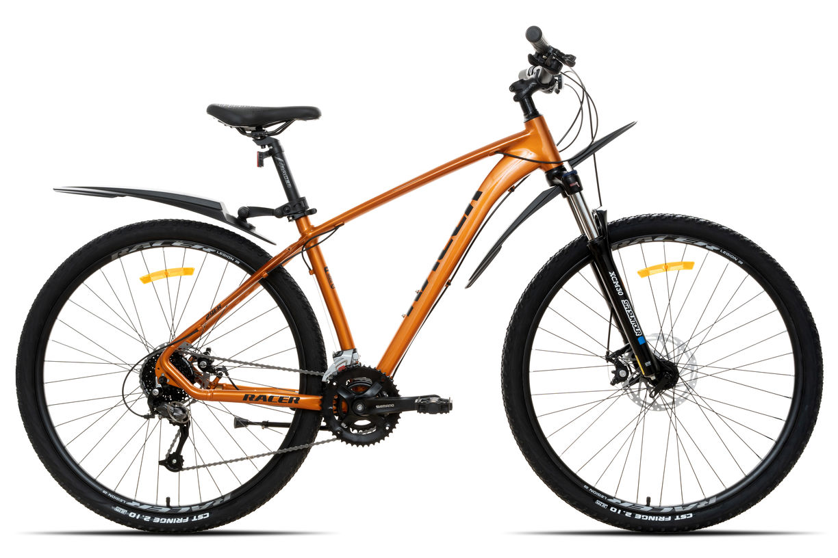 Велосипед Racer Legion 29 бронзовый матовый 2025 рост 18