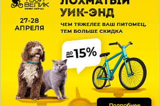 Лохматый уик-енд